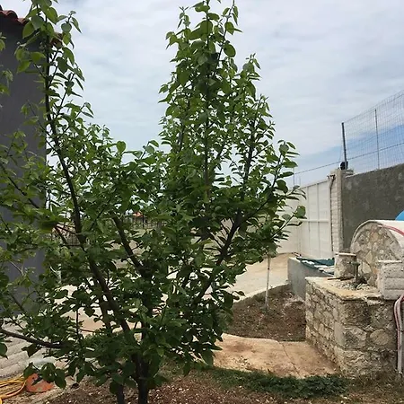 Holiday home Village House Edona Tragjas